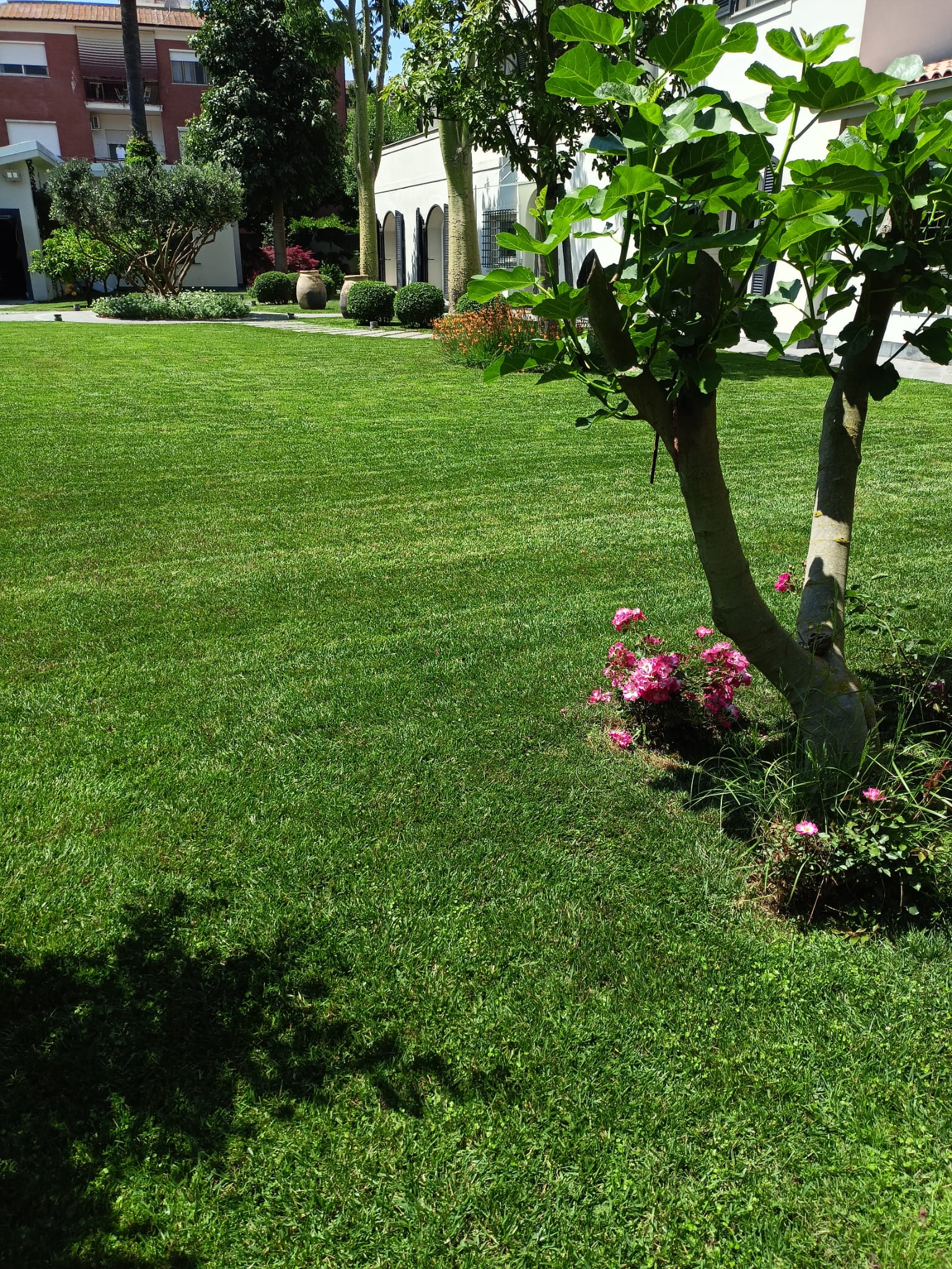 Giardino curato Zecchi Multiservizi