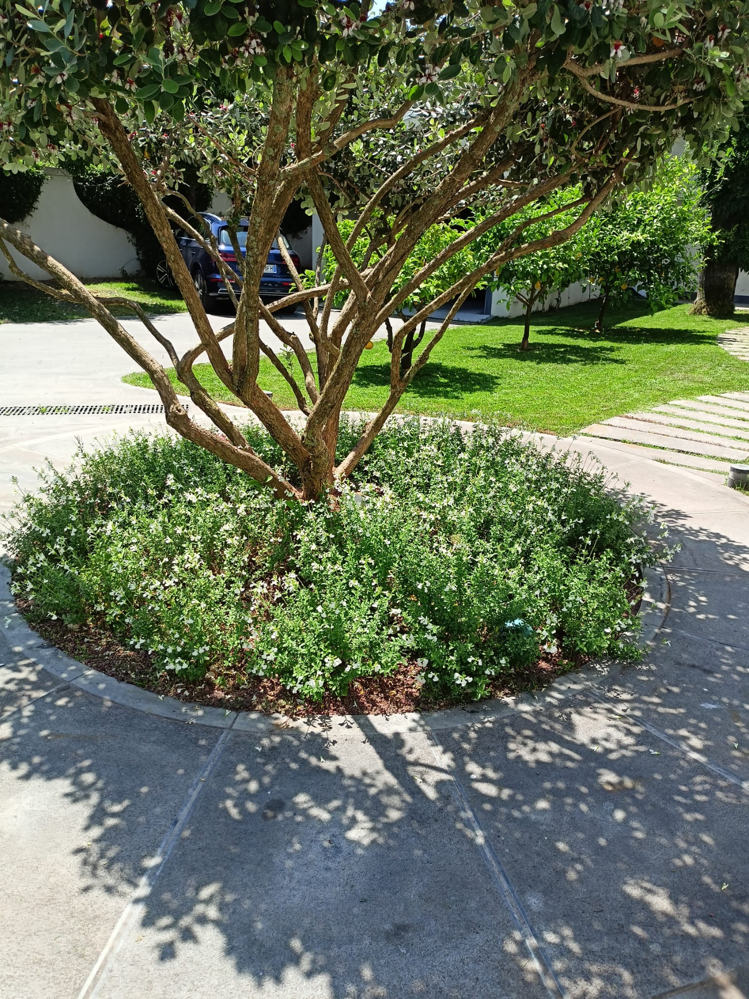 Contatti Zecchi Multiservizi